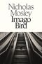 Nicholas Mosley, Imago Bird. Eine Taube sitzt auf Treppen zwischen zwei leeren Rolltreppen., Buch