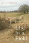 Katie Peterson: Life in a Field, Buch