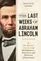 David Alan Johnson: The Last Weeks of Abraham Lincoln, Buch