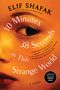 Elif Shafak: 10 Minutes 38 Seconds in This Strange World, Buch