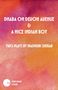 Madhuri Shekar: Dhaba on Devon Avenue / A Nice Indian Boy, Buch