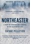 Cathie Pelletier: Northeaster, Buch