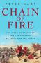 Peter Hart: Chain of Fire, Buch