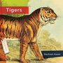 Rachael Hanel: Tigers, Buch