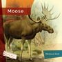 Melissa Gish: Moose, Buch