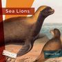 Melissa Gish: Sea Lions, Buch