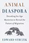 ANIMAL DIASPORA; Decoding Ice Age Mysteries to Reveal the Future of Migration. EDWARD STRUZIK. Drei Bären im Schnee., Buch