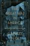 Garrett Peck: The Great War in America, Buch