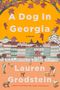 Lauren Grodstein: A Dog in Georgia, Buch