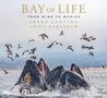 Chris Eckstrom: Bay of Life, Buch