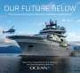 Insight Editions: Our Future Below, Buch