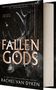 Rachel Van Dyken: Fallen Gods (Standard Edition), Buch