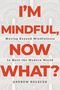 Andrew Holecek: I'm Mindful, Now What?, Buch