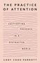 Cody Cook-Parrott: The Practice of Attention, Buch