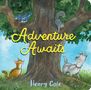 Henry Cole: Adventure Awaits, Buch