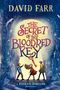 David Farr: The Secret of the Bloodred Key, Buch