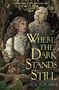 A B Poranek: Where the Dark Stands Still, Buch