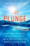 "THE PLUNGE" von Chris Ballard, über Schwimmer und die Kraft von kaltem Wasser. Sonne über Wasser, Taucher darunter.