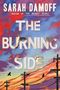 „SARAH DAMOFF“, „THE BURNING SIDE“, buntes Himmelsgemälde mit Stromleitungen und zwei Vögeln., Buch