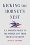 Daniel E Zoughbie: Kicking the Hornet's Nest, Buch