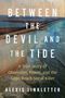 "Between the Devil and the Tide" von Alexis Linkletter. Küstenlandschaft mit Straße zwischen Meer und Land.