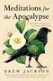 „Meditations for the Apocalypse“ von Drew Jackson. Illustration: Krähe, Blume, grüne Blätter, gelbe Strahlen.