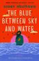 Der Text lautet: "Susan Abulhawa, The Blue Between Sky and Water, A Novel, New Introduction by Fariha Róisín." Eine Illustration zeigt eine Person im Wasser, mit einem roten Himmel und einer untergehenden Sonne im Hintergrund.