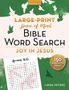 Linda Peters: Peace of Mind Bible Word Search: Joy in Jesus, Buch