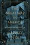 Garrett Peck: The Great War in America, Buch