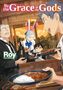 Text: "By the Grace of the Gods", "17", "Roy", "Illust. Ririnra". Eine Gruppe serviert Currygerichte in einem Raum mit Holzoptik., Buch