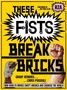 Grady Hendrix: These Fists Break Bricks: How Kung Fu Movies Swept America and Changed the World, Buch