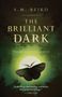 S M Beiko: The Brilliant Dark, Buch