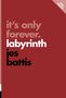 Jes Battis: It's Only Forever, Buch