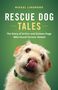 Mikael Lindnord: Rescue Dog Tales: The Story of Arthur and Sixteen Dogs Who Found Forever Homes, Buch