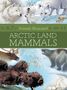 Animals Illustrated: Arctic Land Mammals, Buch