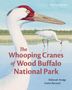 Text: "The Whooping Cranes of Wood Buffalo National Park." Illustration von Kranichen an einem Wasserlauf mit Bäumen im Hintergrund.
