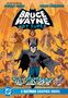 Text: „Bruce Wayne Not Super“, „Bat-Catastrophe“, „A Batman Graphic Novel“. Illustration von Bruce Wayne mit vielen Katzen.
