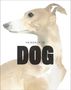 Angus Hyland: The Book of the Dog, Buch