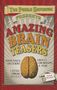 Erwin Brecher: Puzzle Emporium Presents Amazing Brain Teasers, Buch