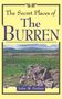 John M Feehan: The Secret Places of the Burren, Buch