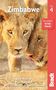 Paul Hubbard: Zimbabwe, Buch