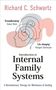 Richard Schwartz: Introduction to Internal Family Systems, Buch