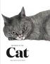 Angus Hyland: The Book of the Cat, Buch