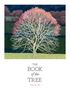 Angus Hyland: The Book of the Tree, Buch