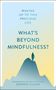 Stephen Fulder: What's Beyond Mindfulness?, Buch