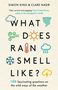 Simon King: What Does Rain Smell Like?, Buch, Buch