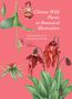 "Chinese Wild Plants in Botanical Illustration" zeigt detailreiche Zeichnungen von Pflanzen auf rosa Hintergrund., Buch