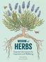 Alison Davies: Wisdom of Herbs, Buch