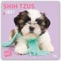 Myrna Huijing: Sweet Shih Tzu - Shih Tzu 2021 - 18-Monatskalender, Kalender