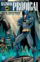 BATMAN PRODIGAL. DICK GRAYSON DONS THE COWL. Batman in Kampfpose, Robin und Nightwing im Hintergrund in einer Höhle., Buch